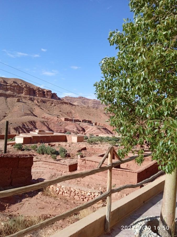 Kelaat-M'Gouna Kasbah Tialouite酒店 外观 照片